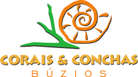 Corais e Conchas Búzios